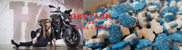 крисы Баксан