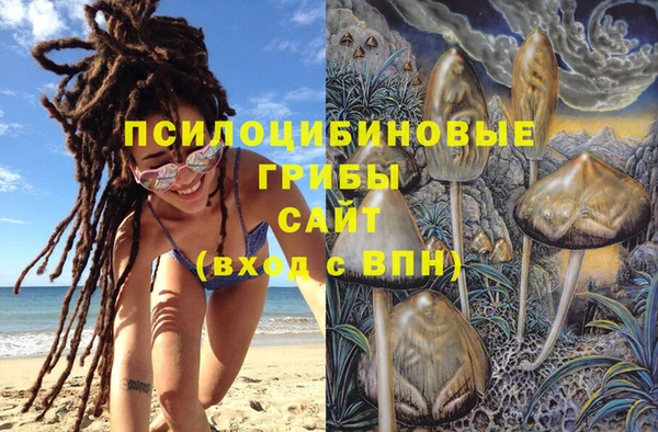 крисы Баксан