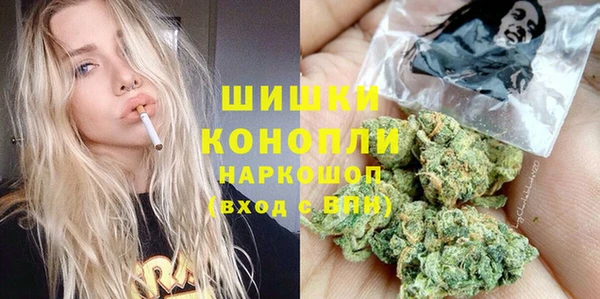 спайс Покачи