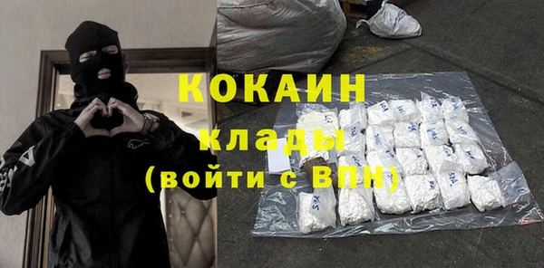 крисы Баксан