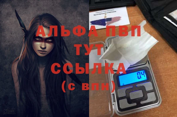 крисы Баксан