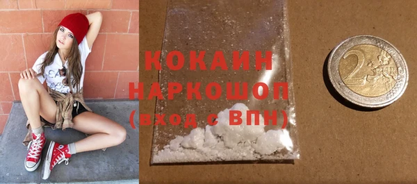 крисы Баксан
