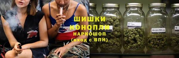 крисы Баксан
