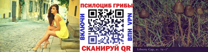 купить закладку  Кондопога  Псилоцибиновые грибы MAGIC MUSHROOMS 